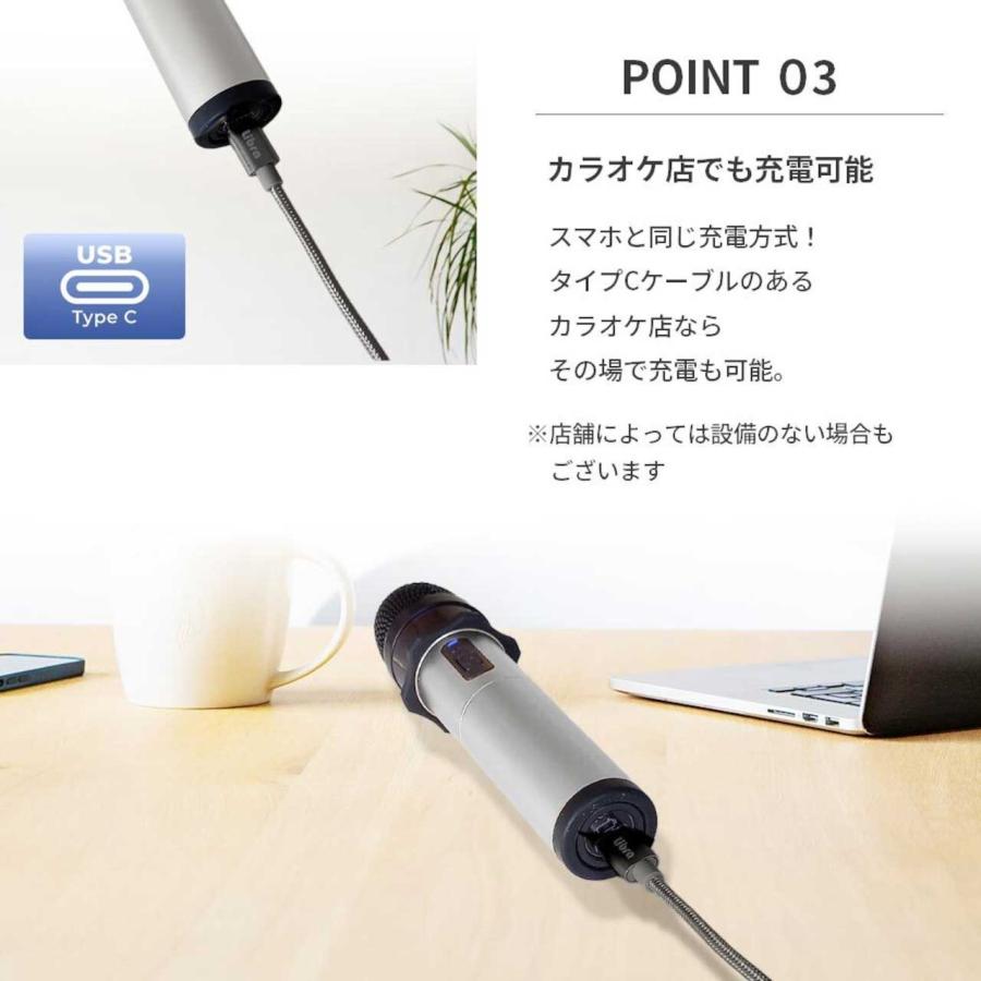 PENTATONIC ペンタトニック GTM-300 ライトシルバー カラオケ用マイク