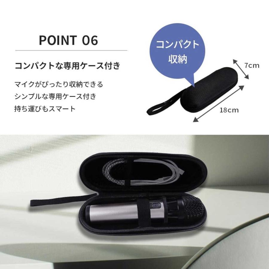 PENTATONIC ペンタトニック GTM-300 ライトシルバー カラオケ用マイク