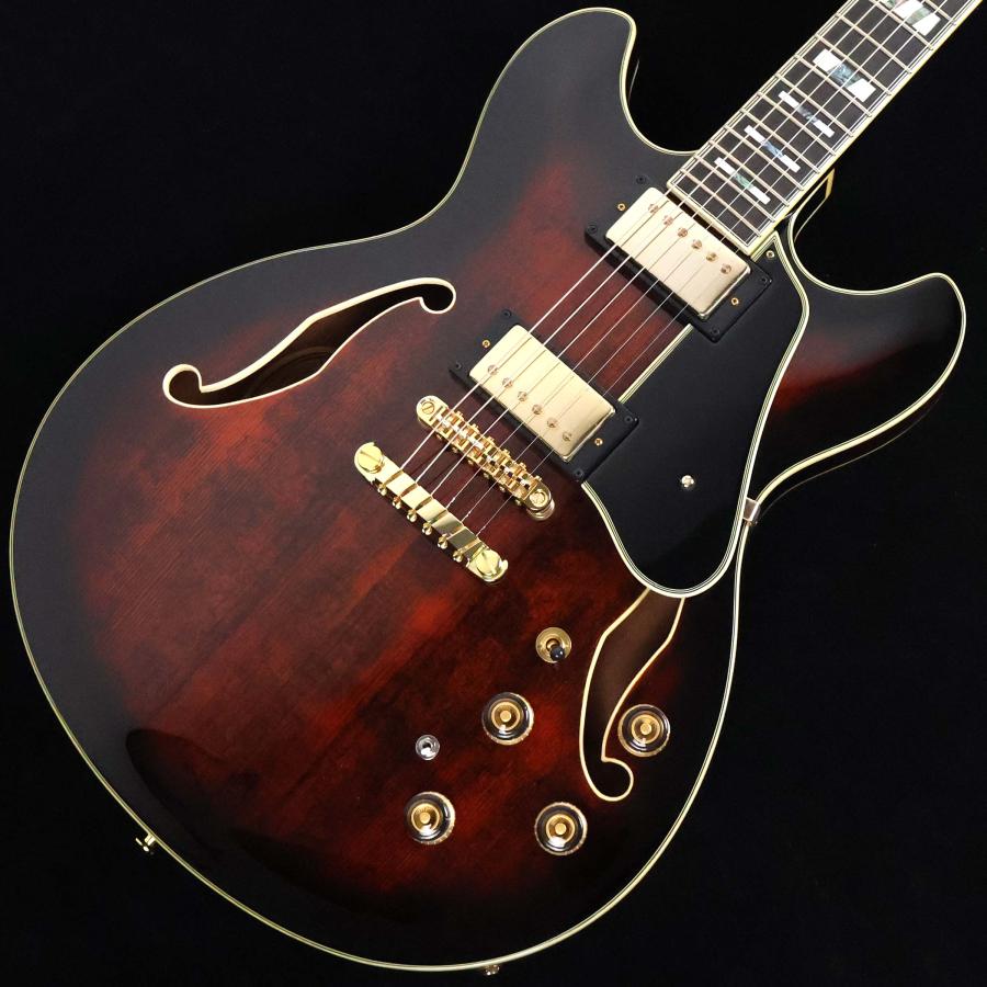 Ibanez（アイバニーズ） AS113B-TBC S/N：PW22100401 セミアコ島村楽器