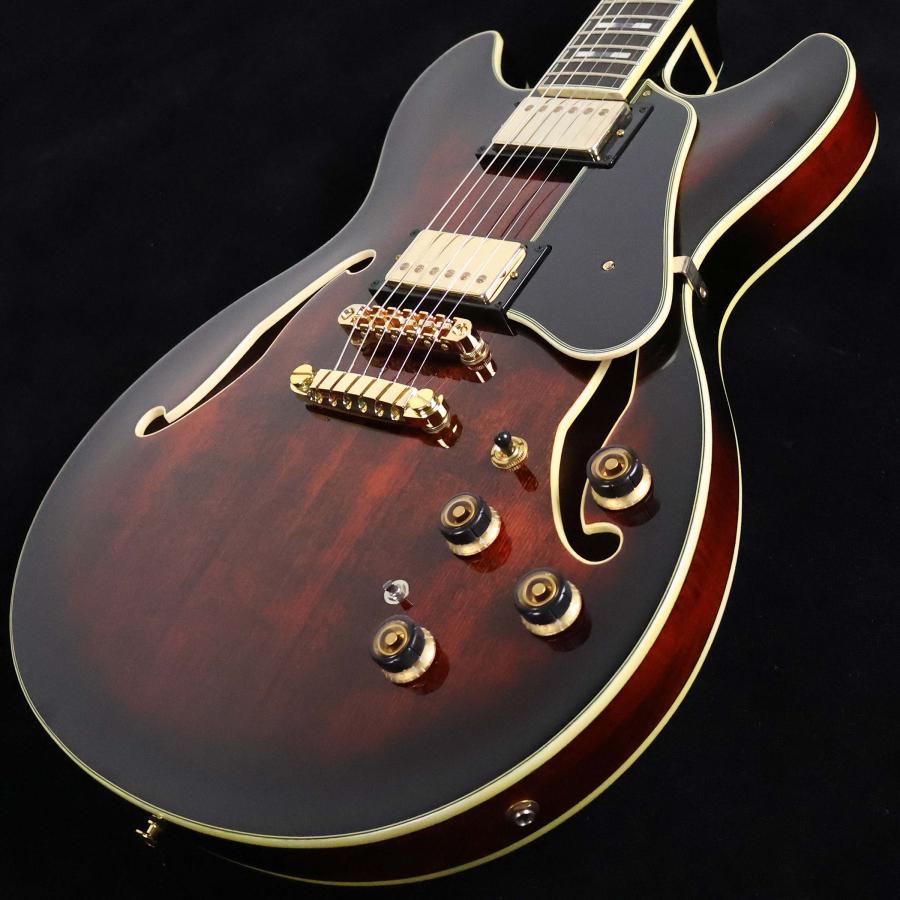 Ibanez（アイバニーズ） AS113B-TBC S/N：PW22100401 セミアコ島村楽器