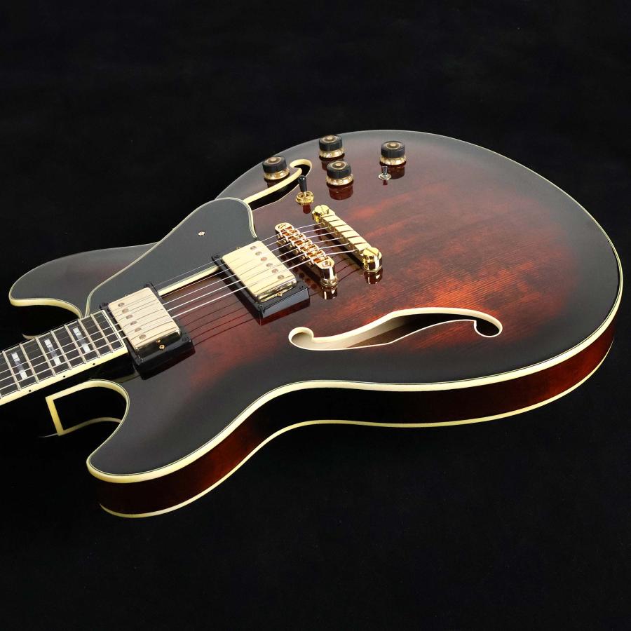 Ibanez（アイバニーズ） AS113B-TBC S/N：PW22100401 セミアコ島村楽器