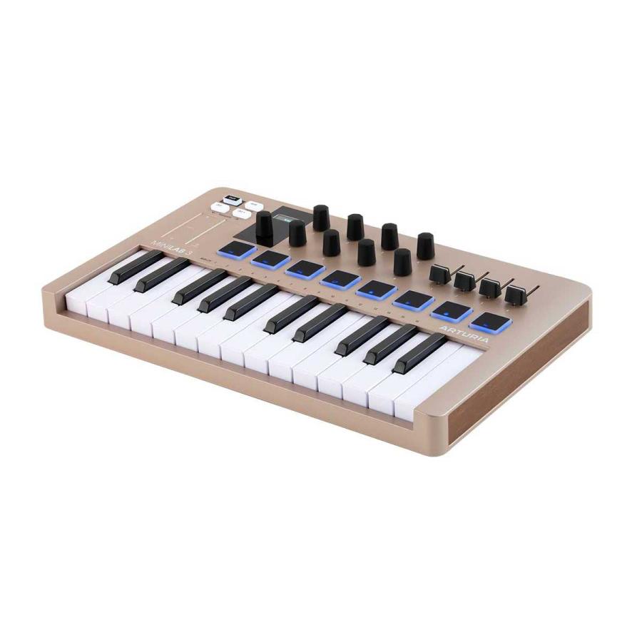 ARTURIA アートリア MINILAB 3 CHAMPAGNE (シャンパーニュ) 25鍵盤