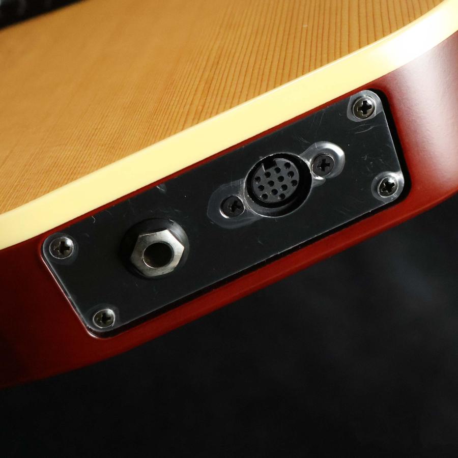 Godin ゴダン ACS NYLON SG エレガット 未展示品の画像