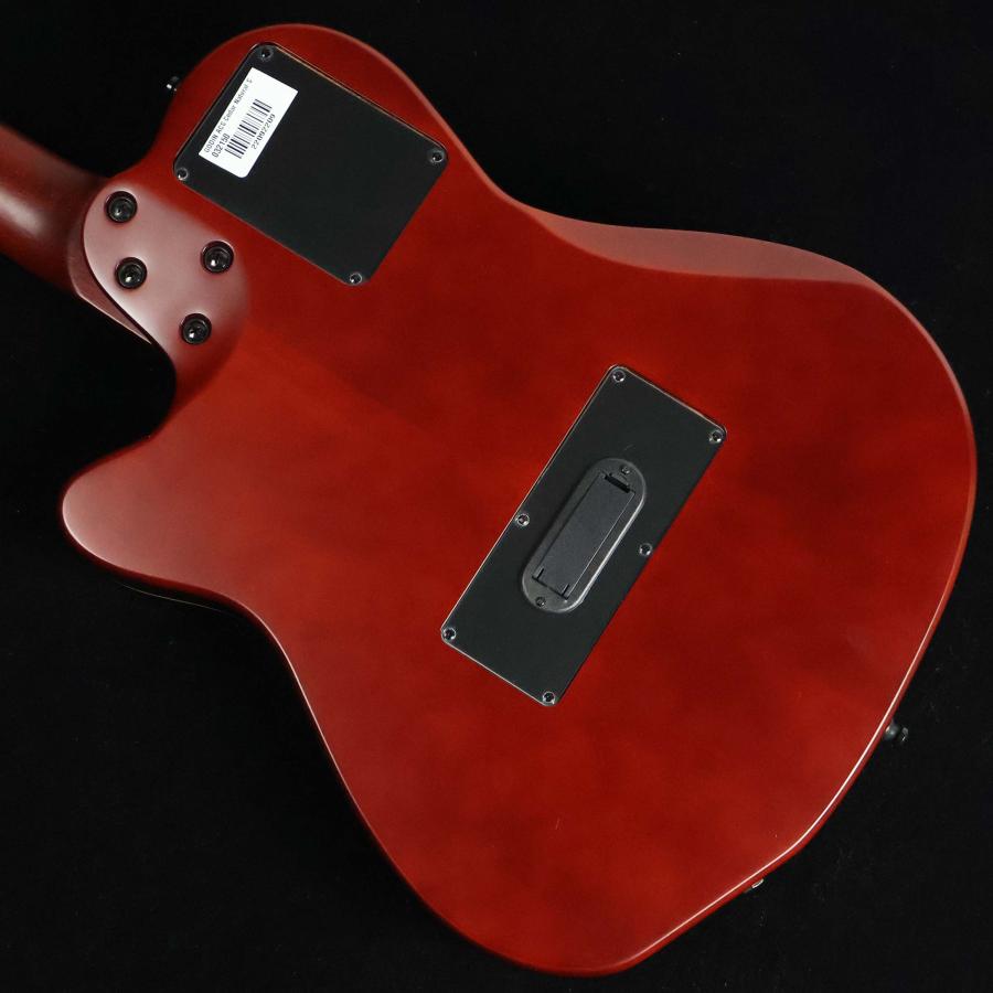 Godin ゴダン ACS NYLON SG エレガット 未展示品の画像