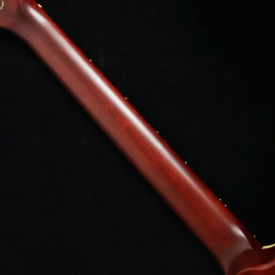 Godin ゴダン ACS NYLON SG エレガット 未展示品の画像