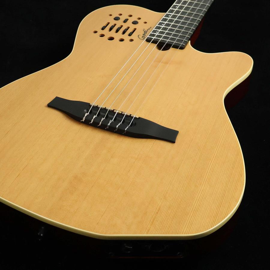 Godin ゴダン ACS NYLON SG エレガット 未展示品の画像