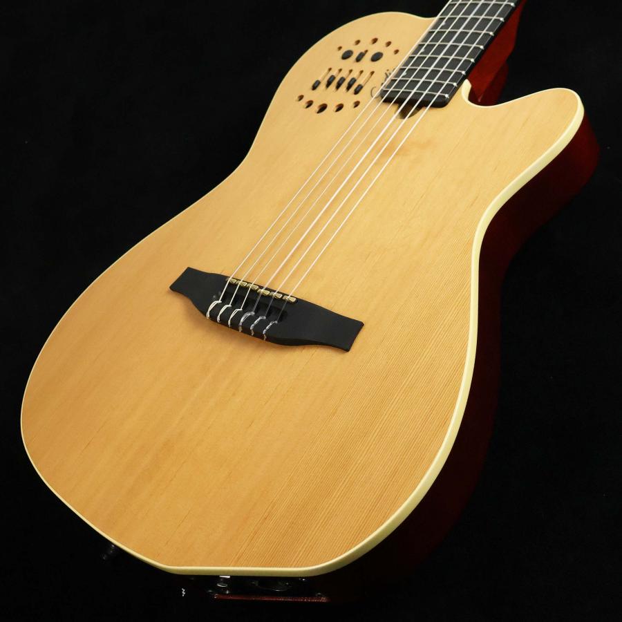 Godin ゴダン ACS NYLON SG エレガット 未展示品の画像