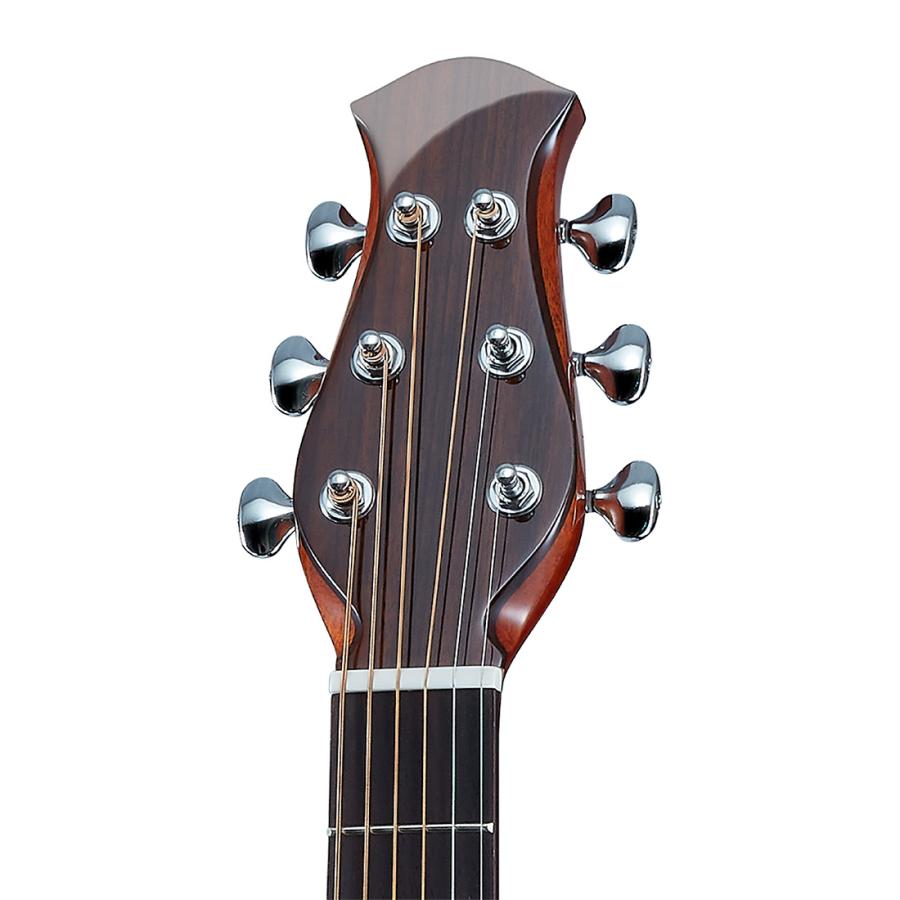 aNueNue アヌエヌエ aNN-LF23E エレアコギター アコースティックギター