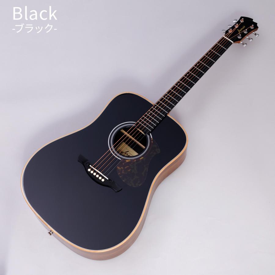 ジェームス（James） J-300DII アコースティックギター初心者12点