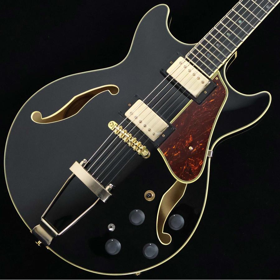 Ibanez（アイバニーズ） AMH90 S/N：PW25050457 フルアコ 未展示品