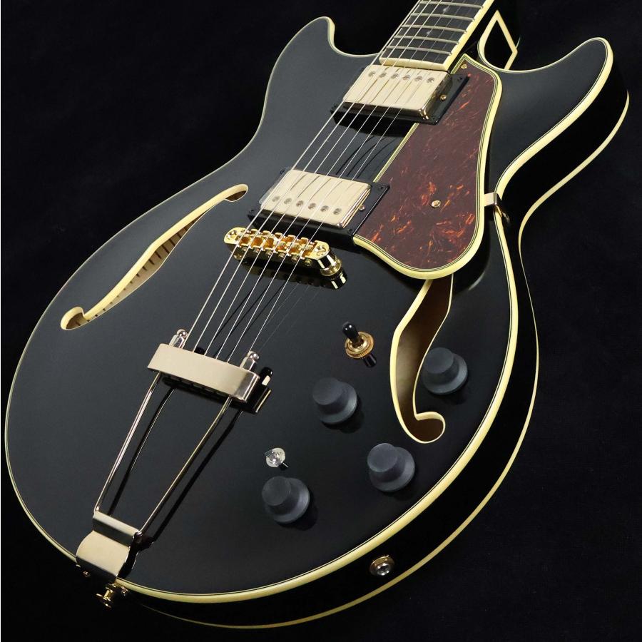 Ibanez（アイバニーズ） AMH90 S/N：PW25050457 フルアコ 未展示品