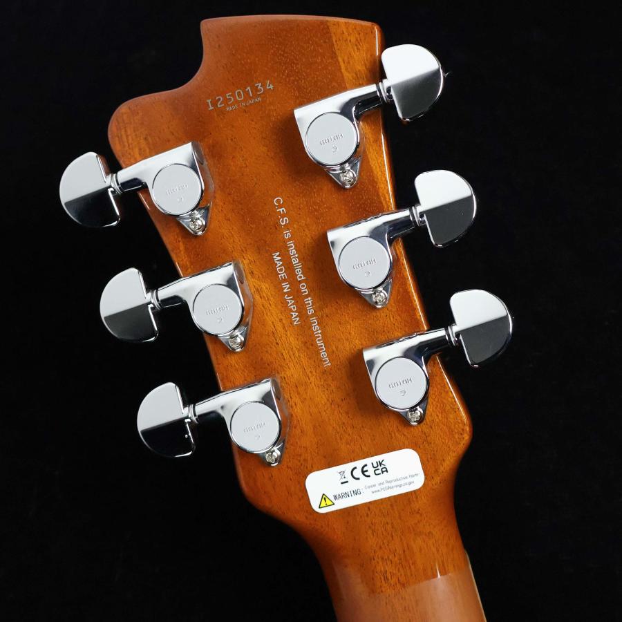 FUJIGEN（フジゲン） EFL-FM Vintage Violin S/N：I250134 選定個体 未