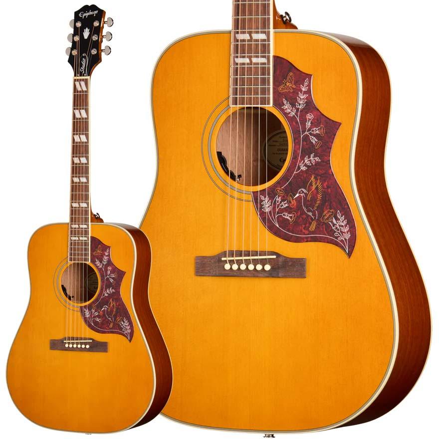 Epiphone（エピフォン） Hummingbird Studio Antique Natural 