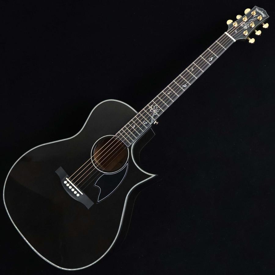 Headway ヘッドウェイ HGAF-SAKURA/JS S/N：JT26009 エレアコ JT