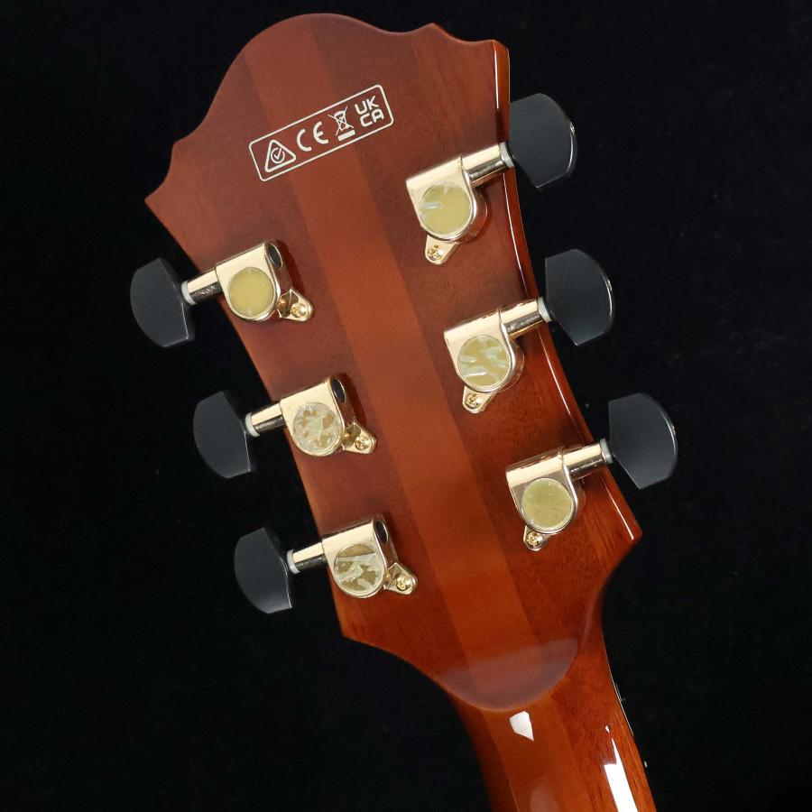 Ibanez（アイバニーズ） AFC151 Dark Amber S/N：PW25060133 フルアコ