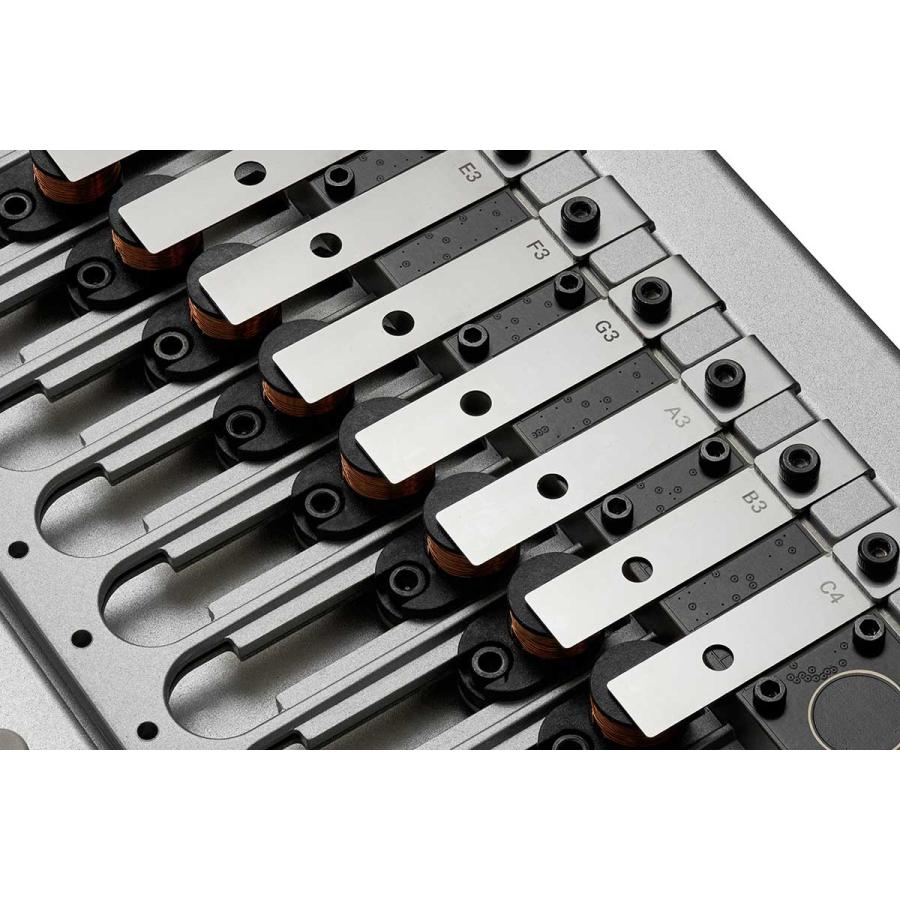 KORG（コルグ） phase8 ACOUSTIC SYNTHESIZER 通常版 アコースティック