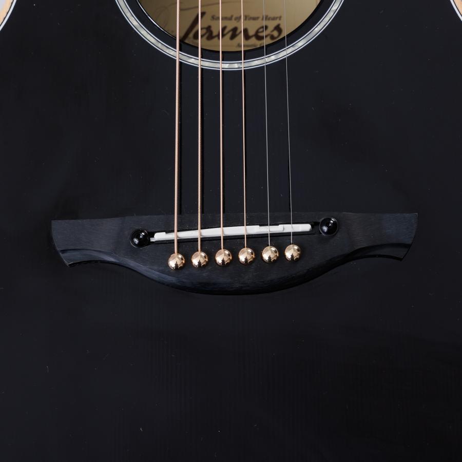 ジェームス（James） James J-300CII/Glossy エレアコ 生音エフェクト