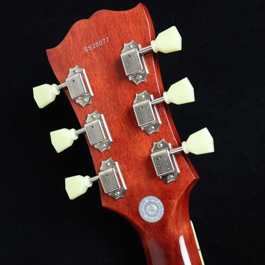 Seventy Seven セブンティセブン EXRUBATO-STD JT AR S/N：SS25077 セミアコ JTシリーズ 未展示品の画像