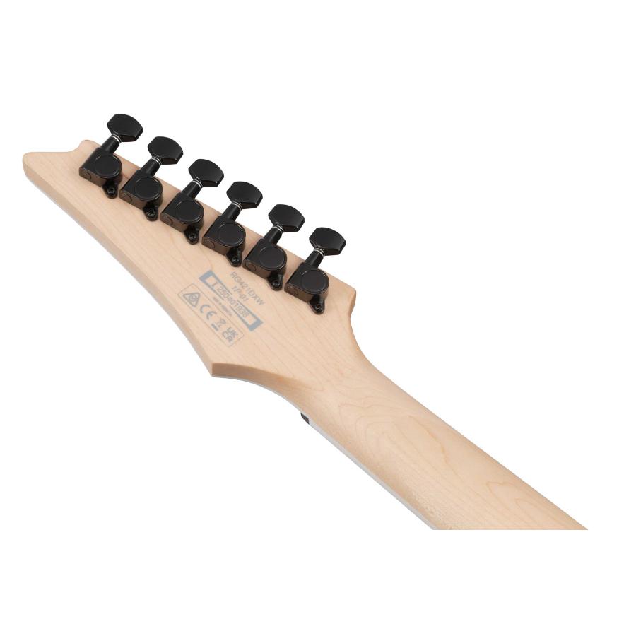 Ibanez アイバニーズ RG421DX TWS Twilight Shade エレキギター 5wayスイッチ搭載 RG Standardの画像