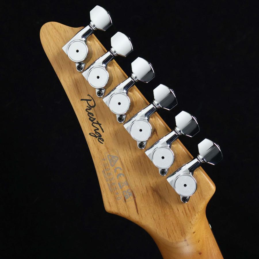 Ibanez アイバニーズ AZ2402AR-CGB(Coarse Grain Black Flat) S/N：FD2656040 スポット生産モデル 未展示品の画像