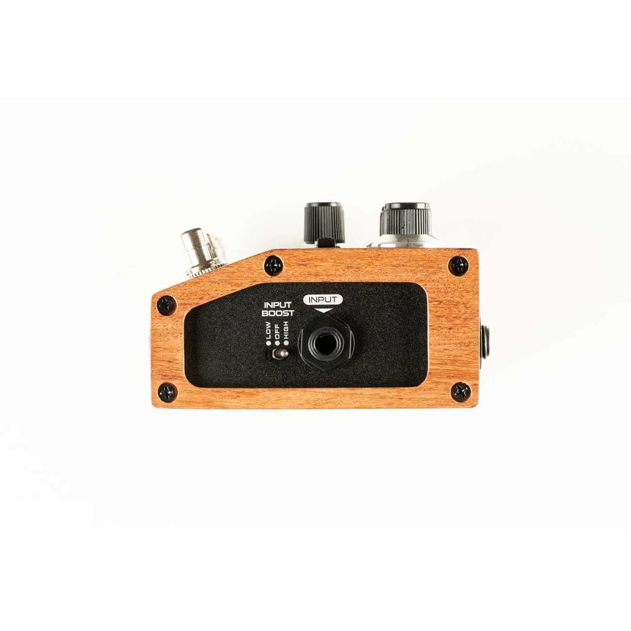 DSM & HUMBOLDT ディーエスエムアンドハンホ Dumblifier エフェクター