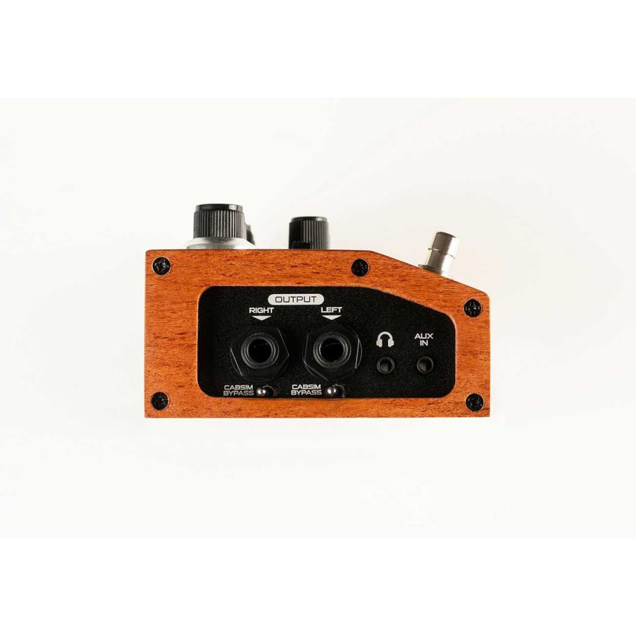 DSM & HUMBOLDT ディーエスエムアンドハンホ Dumblifier エフェクター