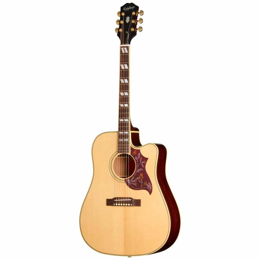Epiphone（エピフォン） Hummingbird Studio EC Natural ギター担当