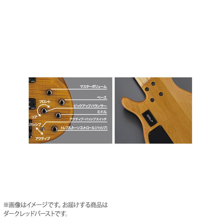 YAMAHA（ヤマハ） TRBX605FM DRB 5弦 ベース : 島村楽器Yahoo!店