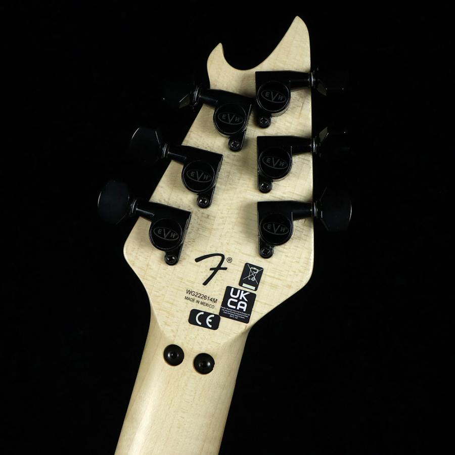 EVH Wolfgang Special Gloss Black ヴァンヘイレン 〔 ウルフギャング 