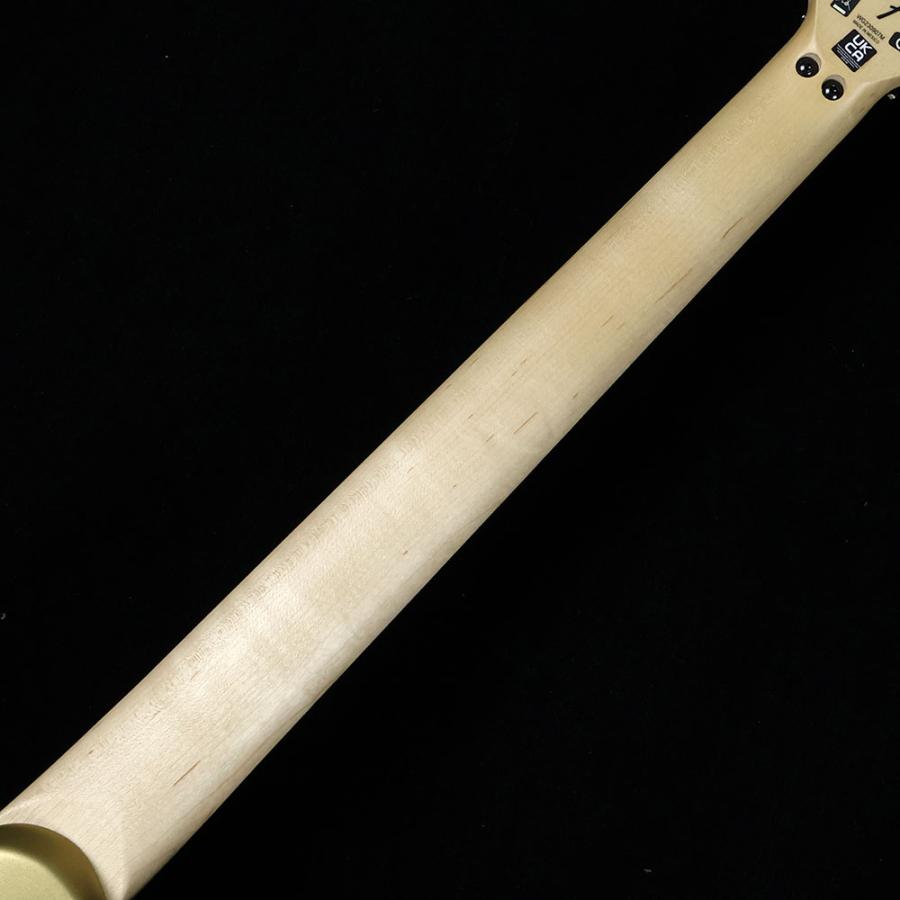 EVH Wolfgang Special Pharaohs Gold エレキギター ヴァンヘイレン ウルフギャング スペシャル ゴールド 未展示品_6