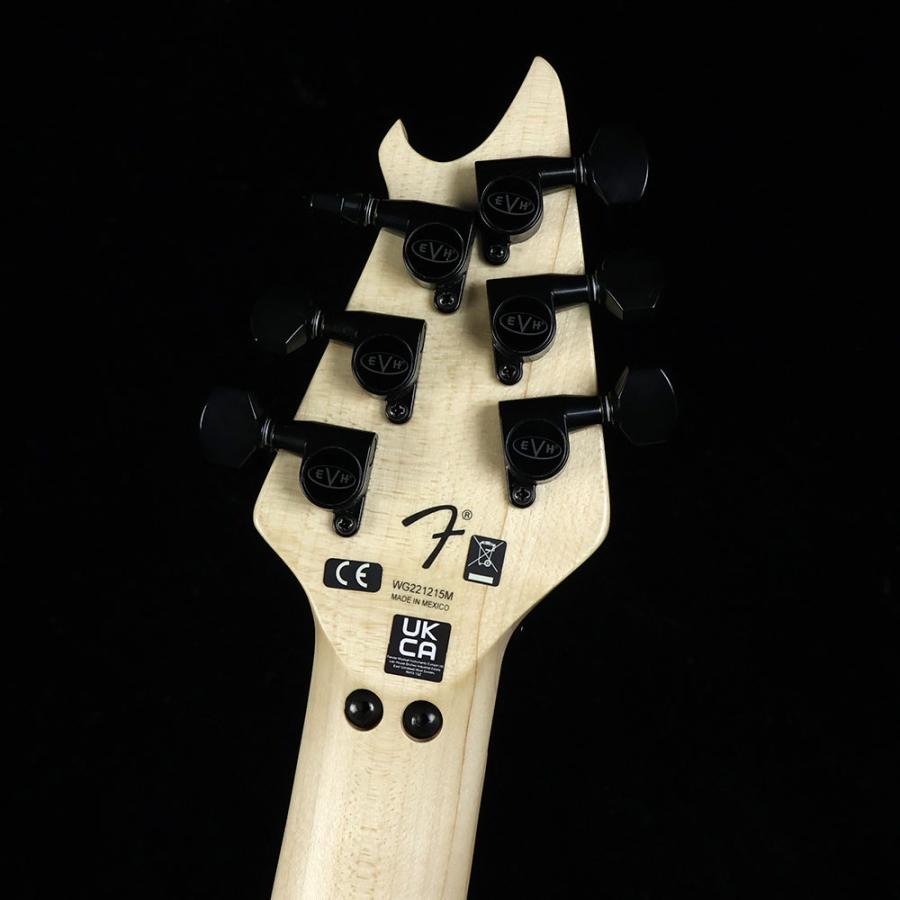 EVH Wolfgang Special Gloss Black ヴァンヘイレン ウルフギャング スペシャル グロスブラック 黒 未展示品_4