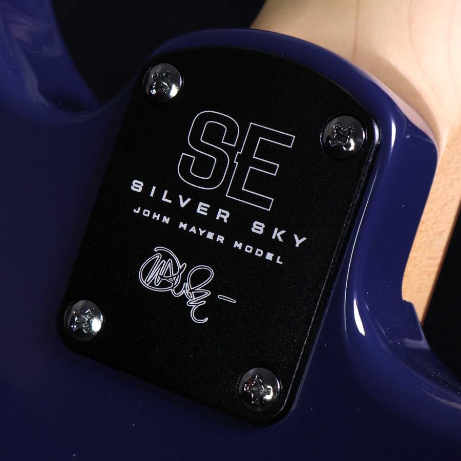 Paul Reed Smith（ポールリードスミス） PRS SE Silver Sky Rosewood