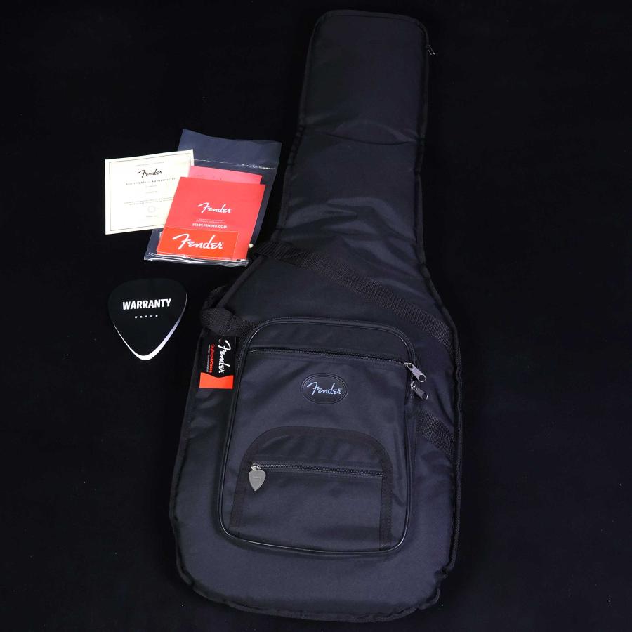 Fender American Professional Classic Stratocaster HSS フェンダー ストラトキャスターHSS 未展示品_10