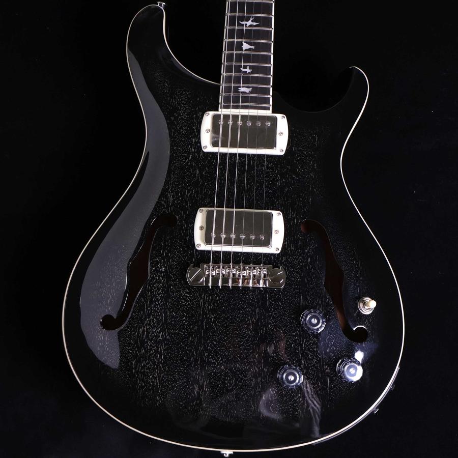 Paul Reed Smith PRS SE Hollowbody Standard Piezo Dog Hair