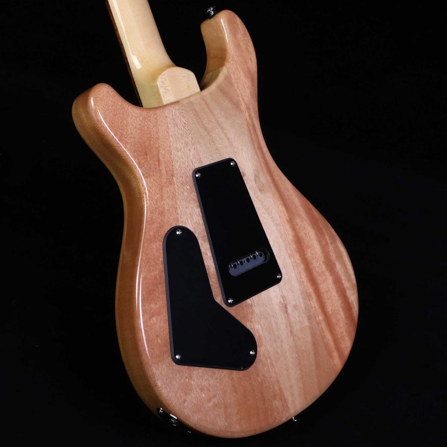 Paul Reed Smith（ポールリードスミス） PRS SE Custom24 Eriza Verde