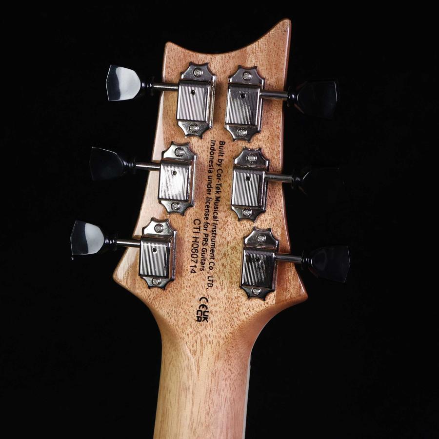 Paul Reed Smith（ポールリードスミス） PRS SE Zach Myers Myers Blue