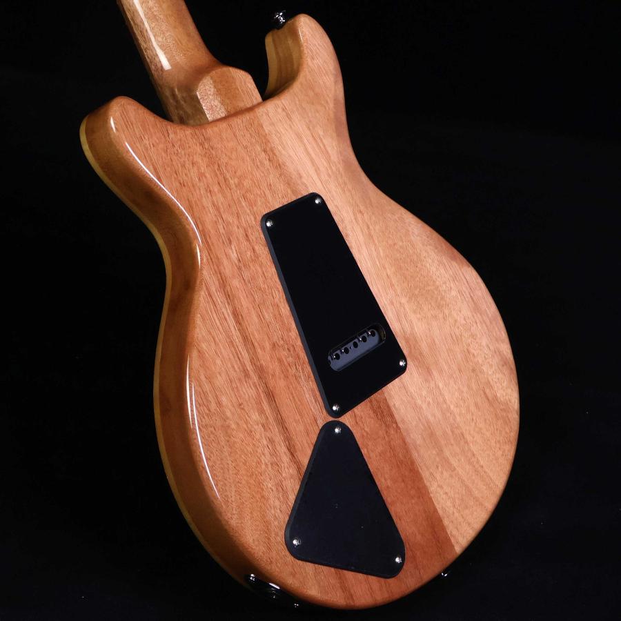 Paul Reed Smith（ポールリードスミス） PRS SE SANTANA Santana