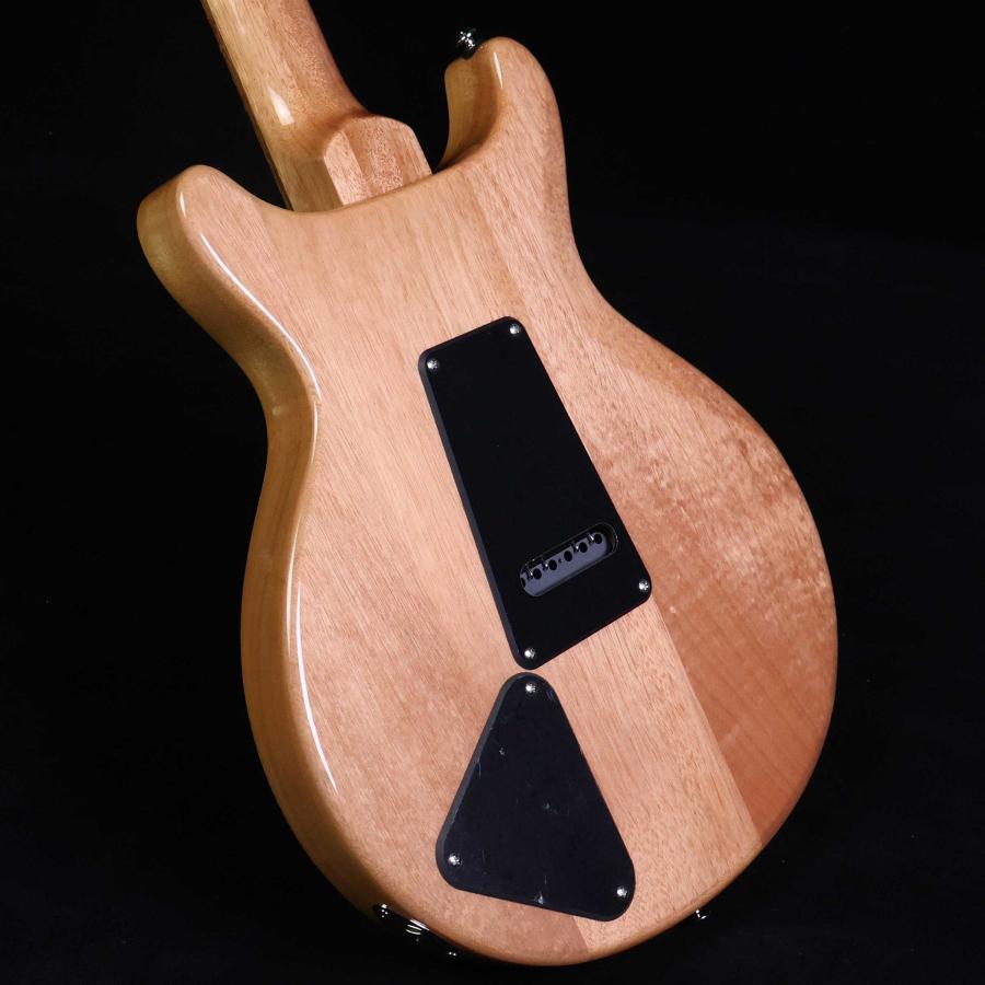 Paul Reed Smith（ポールリードスミス） PRS SE SANTANA Santana