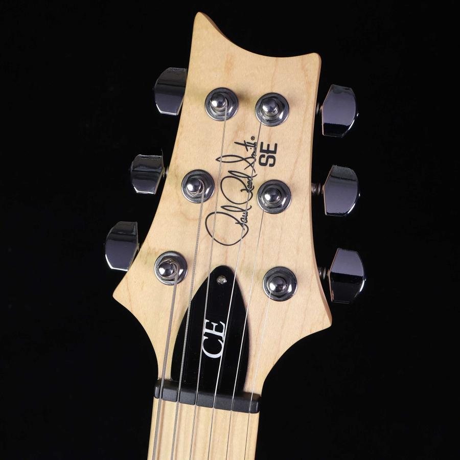 Paul Reed Smith（ポールリードスミス） PRS SE Swamp Ash Special Iri