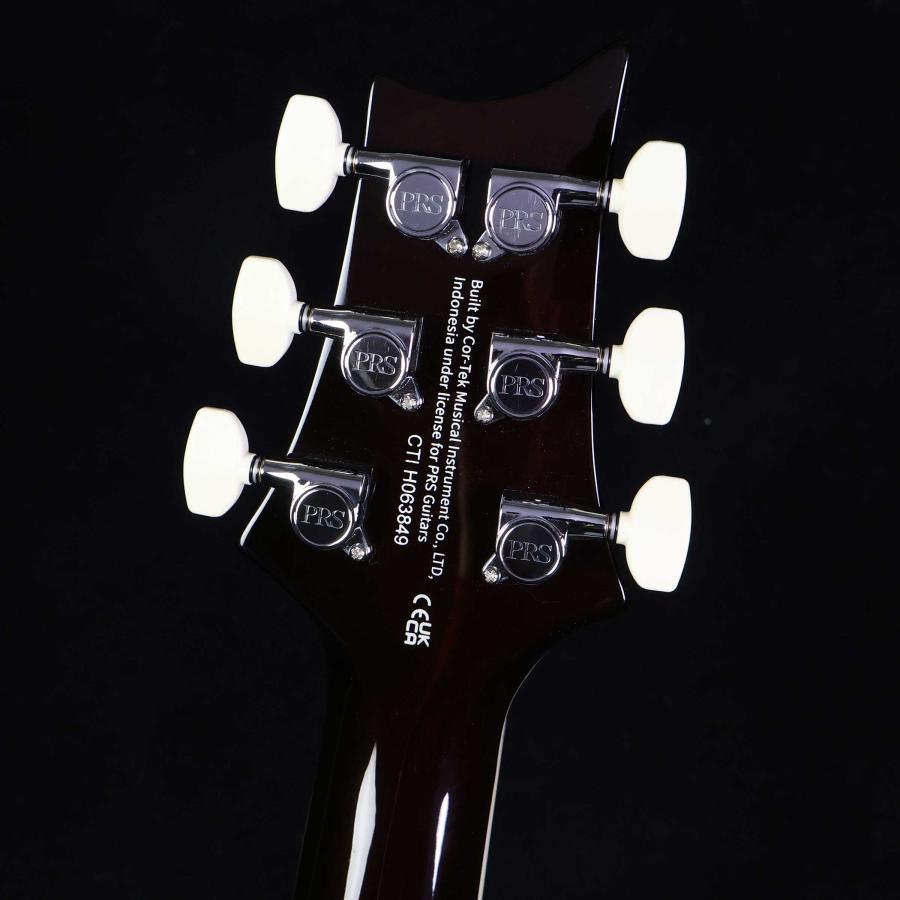 Paul Reed Smith（ポールリードスミス） PRS SE Custom24 Semi-Hollow