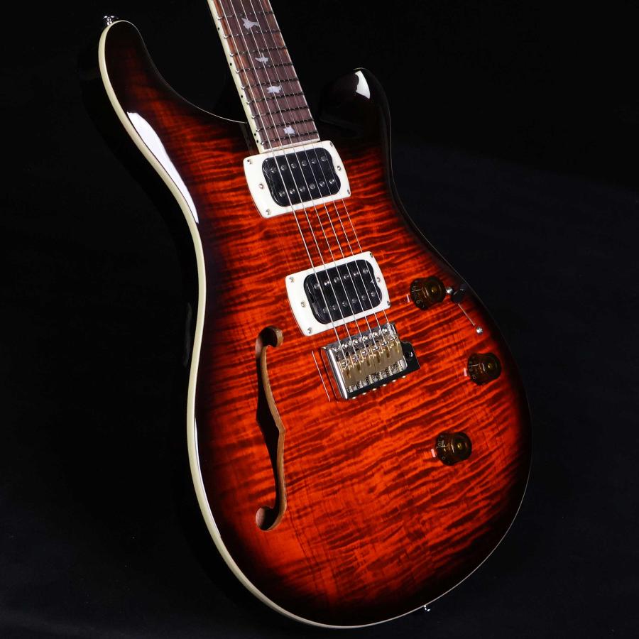 Paul Reed Smith（ポールリードスミス） PRS SE Custom24 Semi-Hollow