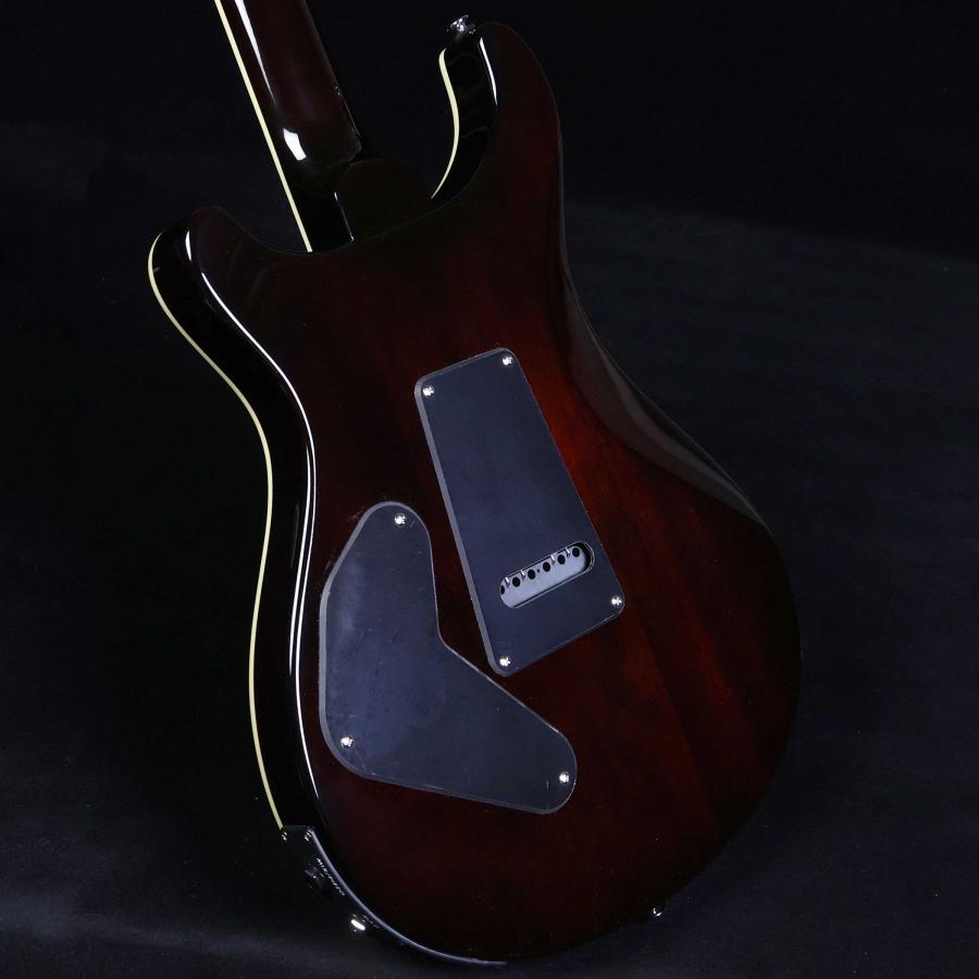 Paul Reed Smith（ポールリードスミス） PRS SE Custom24 Semi-Hollow