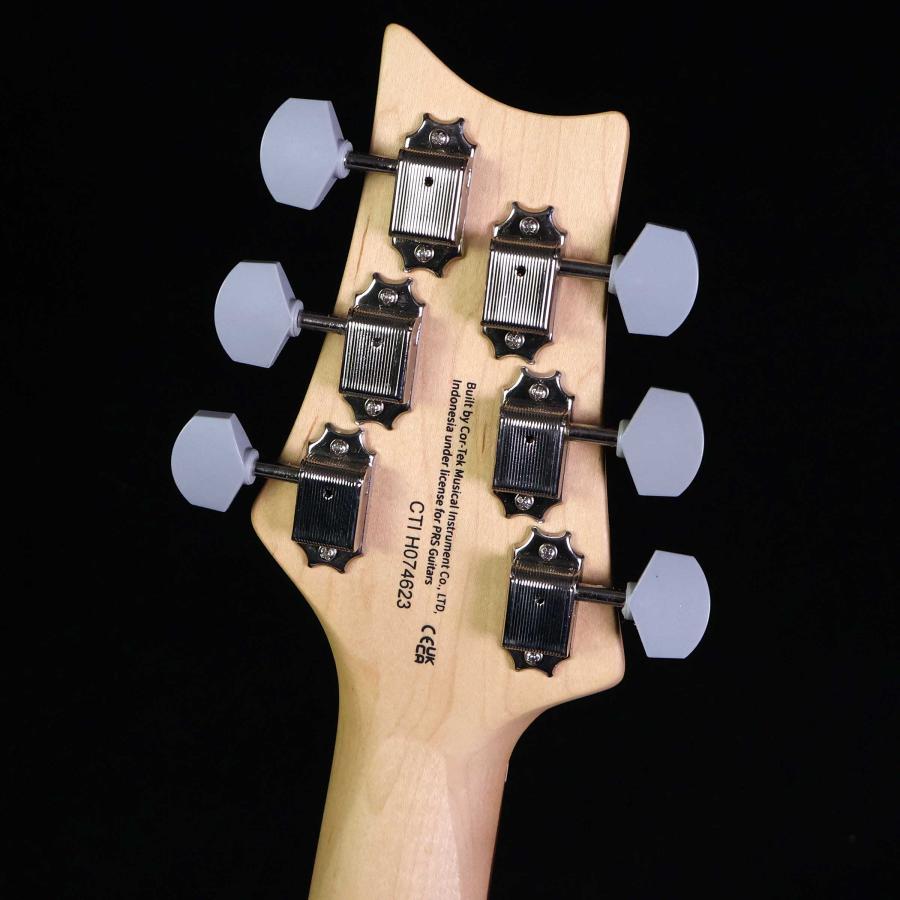 Paul Reed Smith（ポールリードスミス） PRS SE Silver Sky Gold Spark