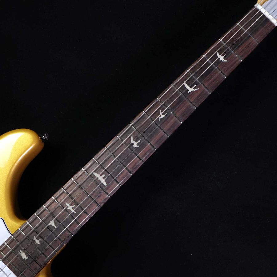 Paul Reed Smith（ポールリードスミス） PRS SE Silver Sky Gold Spark