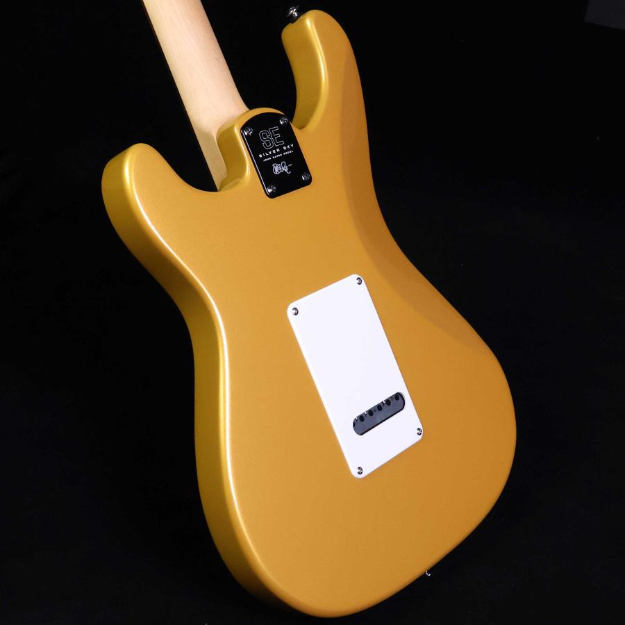 Paul Reed Smith（ポールリードスミス） PRS SE Silver Sky Gold Spark