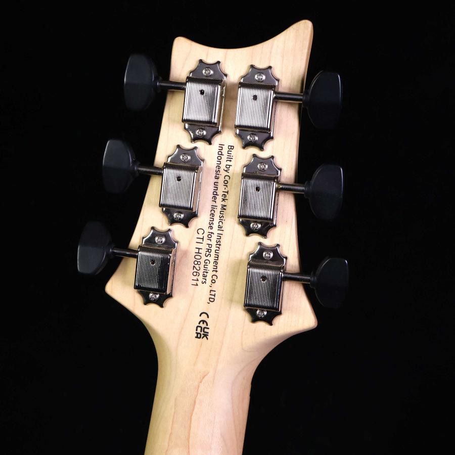 Paul Reed Smith（ポールリードスミス） PRS SE NF 53 Black Doghair
