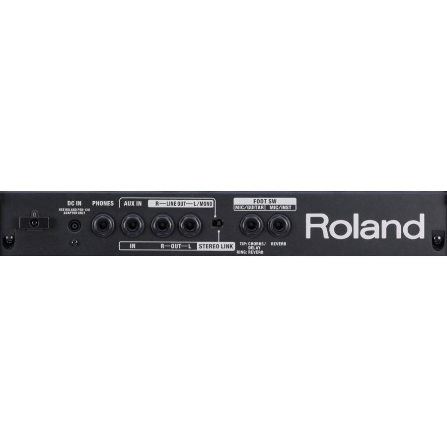 ローランド Roland CUBE Street EX 〔新宿PePe店〕 : 島村楽器