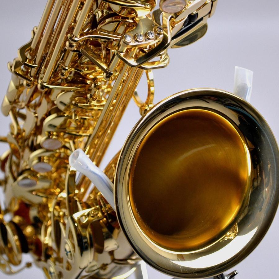 サイドキー Yanagisawa 島村楽器 Paypayモール店 通販 Paypayモール ヤナギサワ A Wo1 アルトサックス イオンモール幕張新都心店 専任担当者による検品済 スはお Www Blaskogabyggd Is
