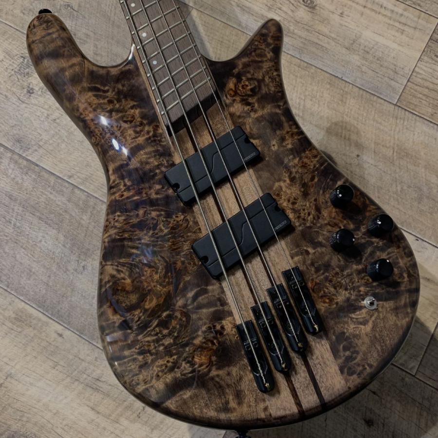 Spector スペクター NS DIMENSION MS 4 Super Faded Black Gloss エレキベース 〔新宿PePe店〕｜shimamura｜10