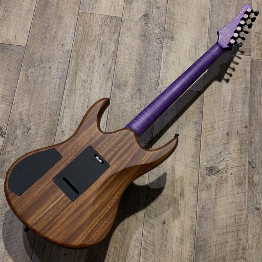 Valenti Guitars ヴァレンティギターズ Nebula Carved 6st / See